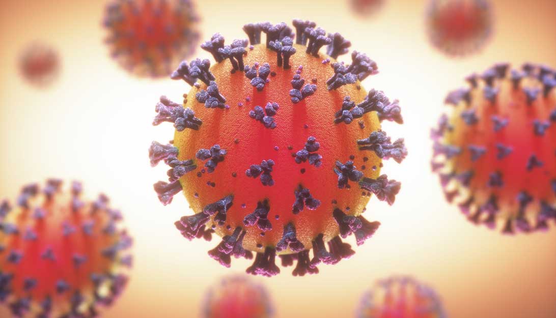 microscopic Image of COVID-19 Virus