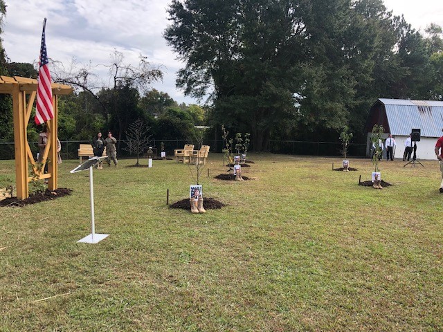 Freshly planted trees with military boots at base