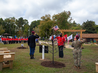 Two people saluting tree