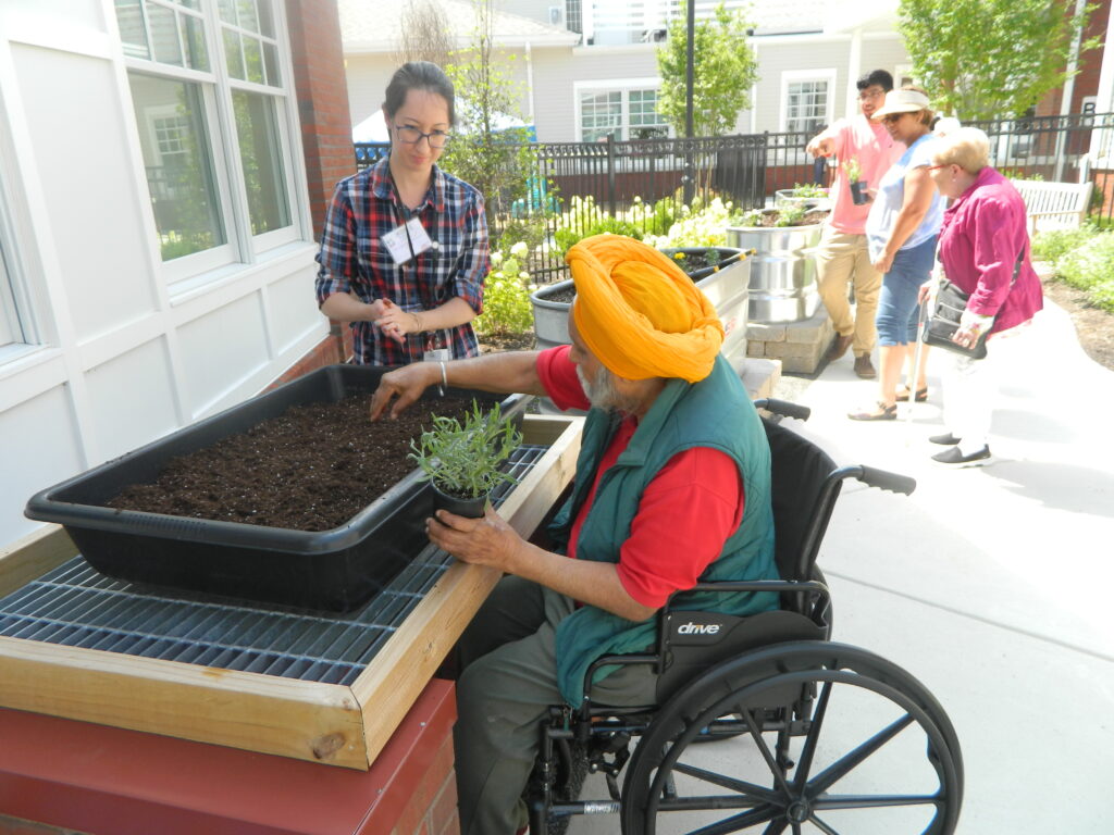 Person in wheelchair gardening