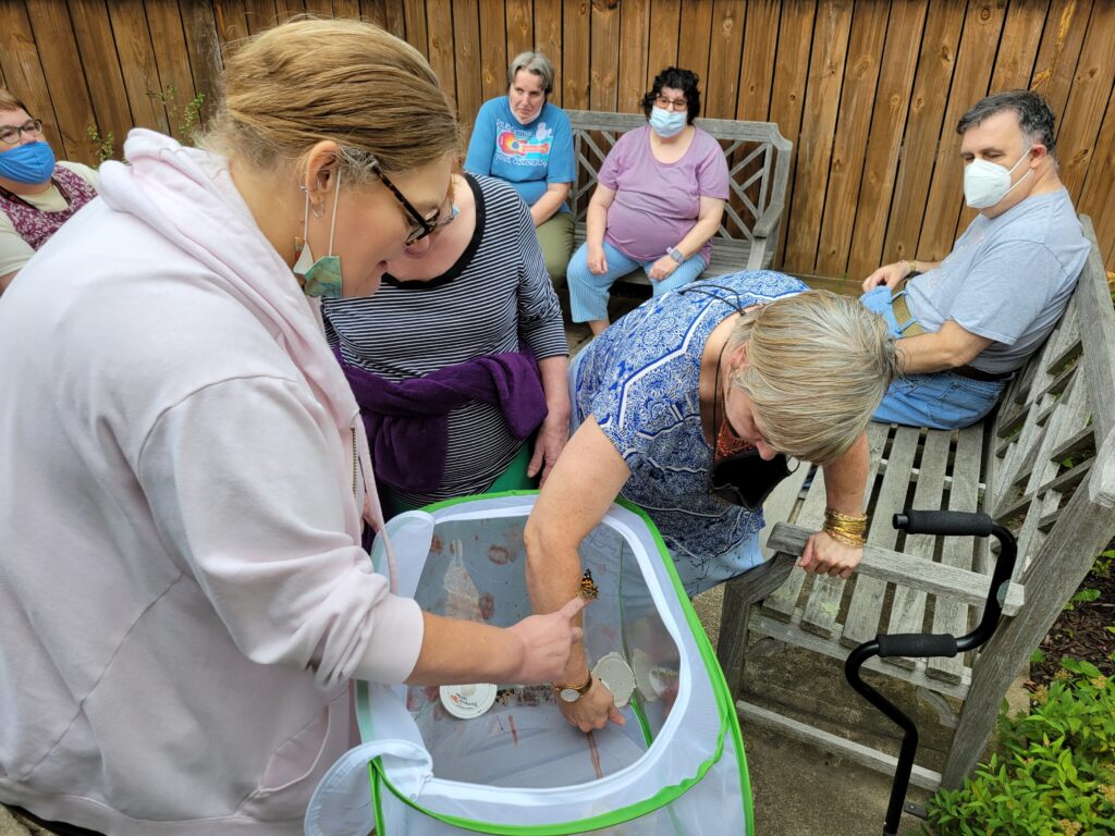 Two people releasing butterflies